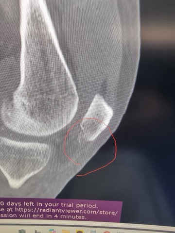 3c70c6eb663f06908c5f424f94dc786b_1762864531_1205.jpg 3c70c6eb663f06908c5f424f94dc786b_1762864531_1205.jpg