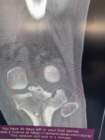 3c70c6eb663f06908c5f424f94dc786b_1762864531_4328.jpg 3c70c6eb663f06908c5f424f94dc786b_1762864531_4328.jpg