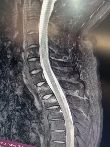 3c70c6eb663f06908c5f424f94dc786b_1762864532_0805.jpg 3c70c6eb663f06908c5f424f94dc786b_1762864532_0805.jpg